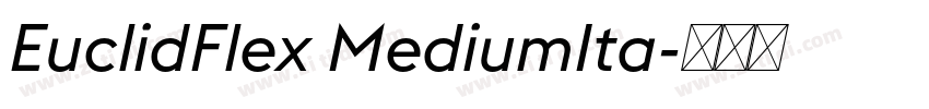 EuclidFlex MediumIta字体转换